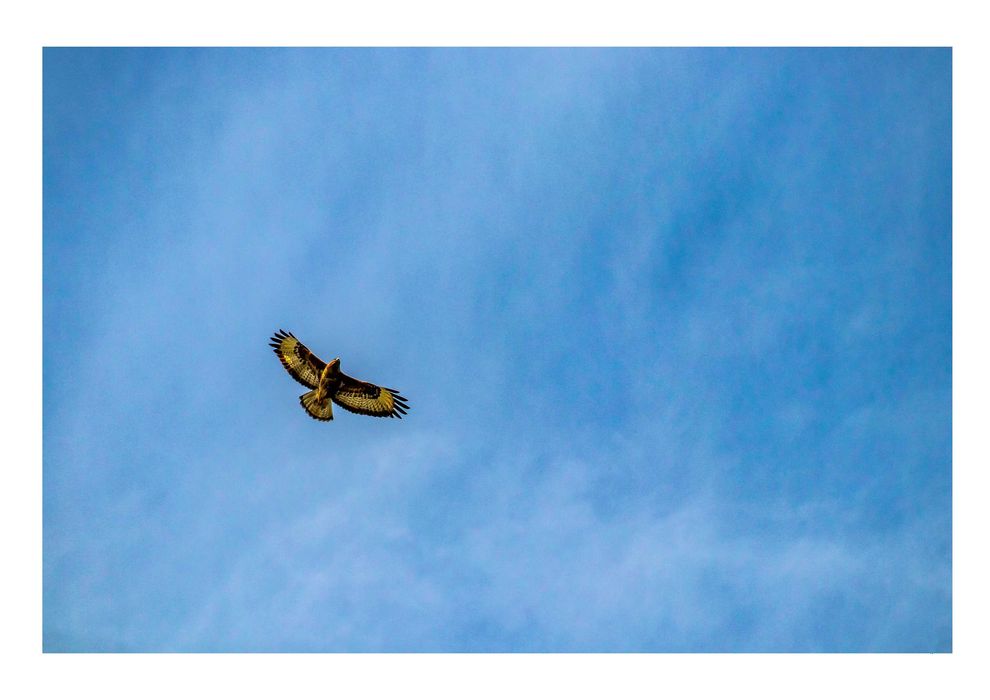 Poster fotográfico 50 x 70, Superfície: papel fotográfico brilhante.