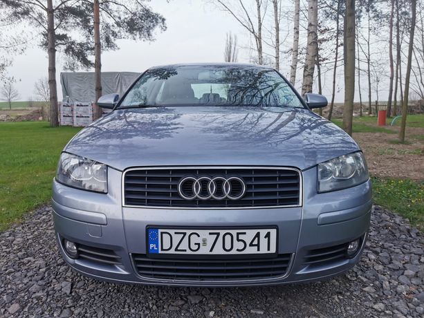 Audi A3 8p 1.6 mpi