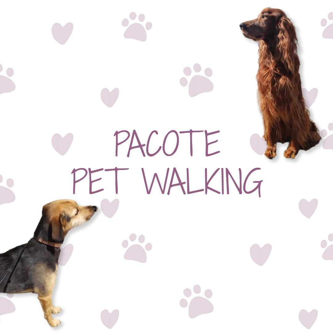 Serviços de Pet Sitting e Pet Walking