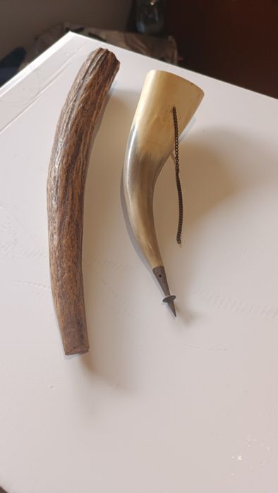 Продам роги,рога ...