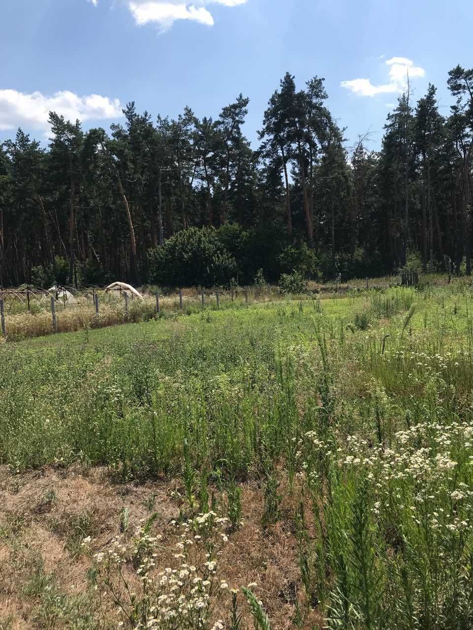 Продам дом в Чугуевском районе