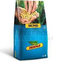 Kukurydza DKC 3400 Dekalb FAO240 ZIARNO PROMOCJA 2024r. Brutto