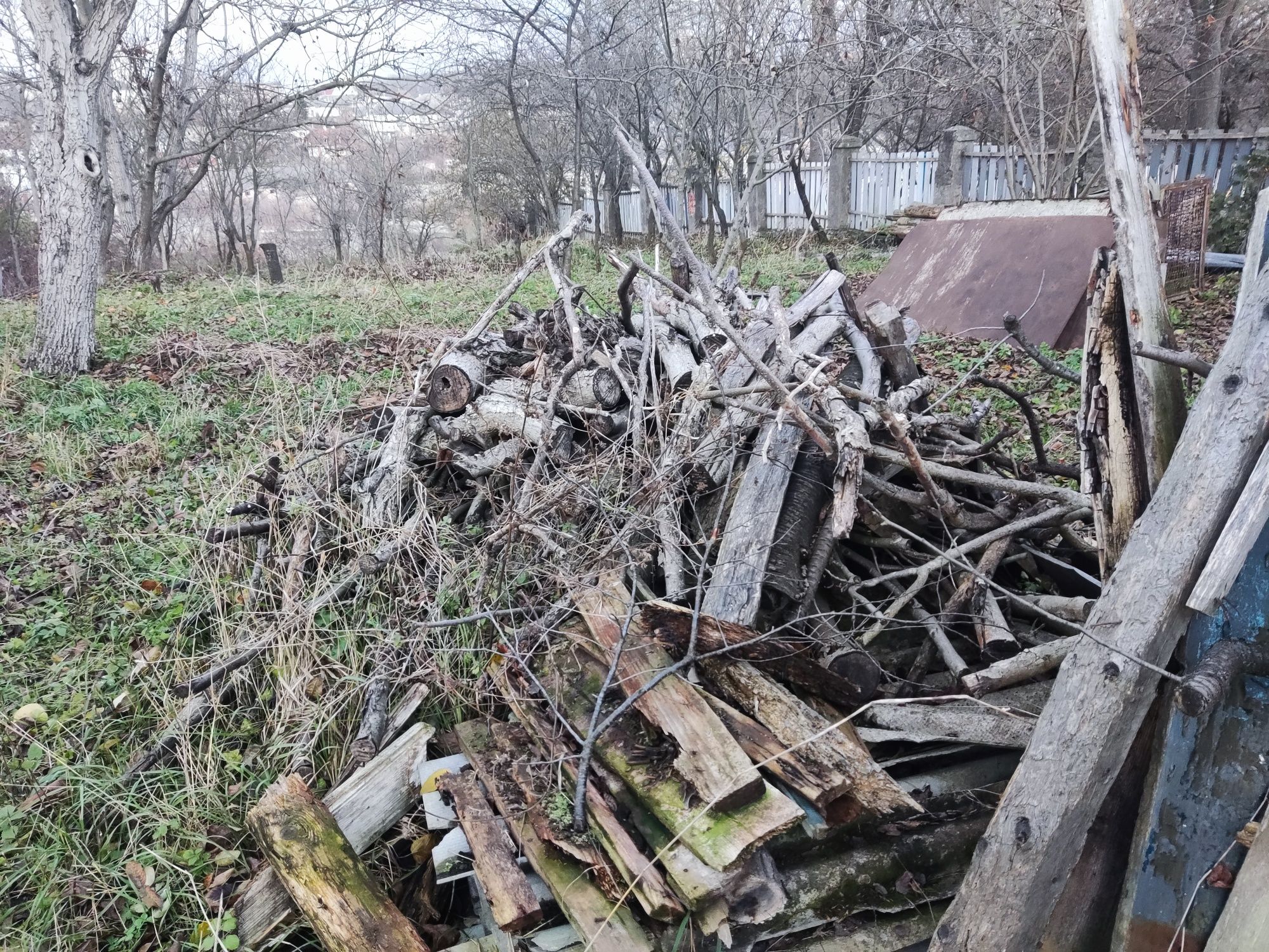 Дрова, деревина, балки, лаги на зиму палити
