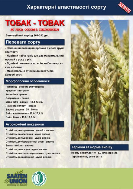 Насіння озимої пшениці Реформ, Депот, Тобак.
