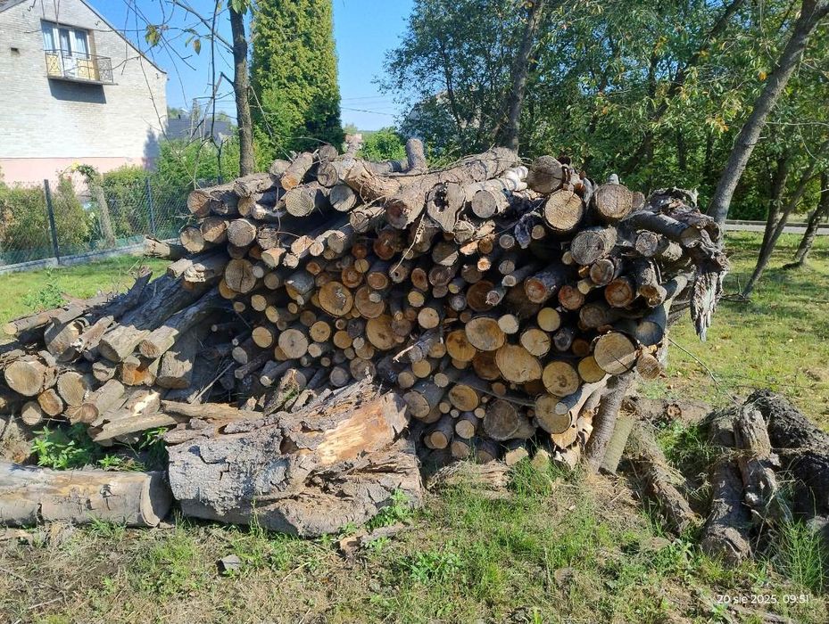 Drewno opałowe pocięte