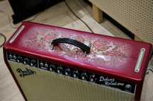 Fender '65 Deluxe Reverb 'Pink Paisley'