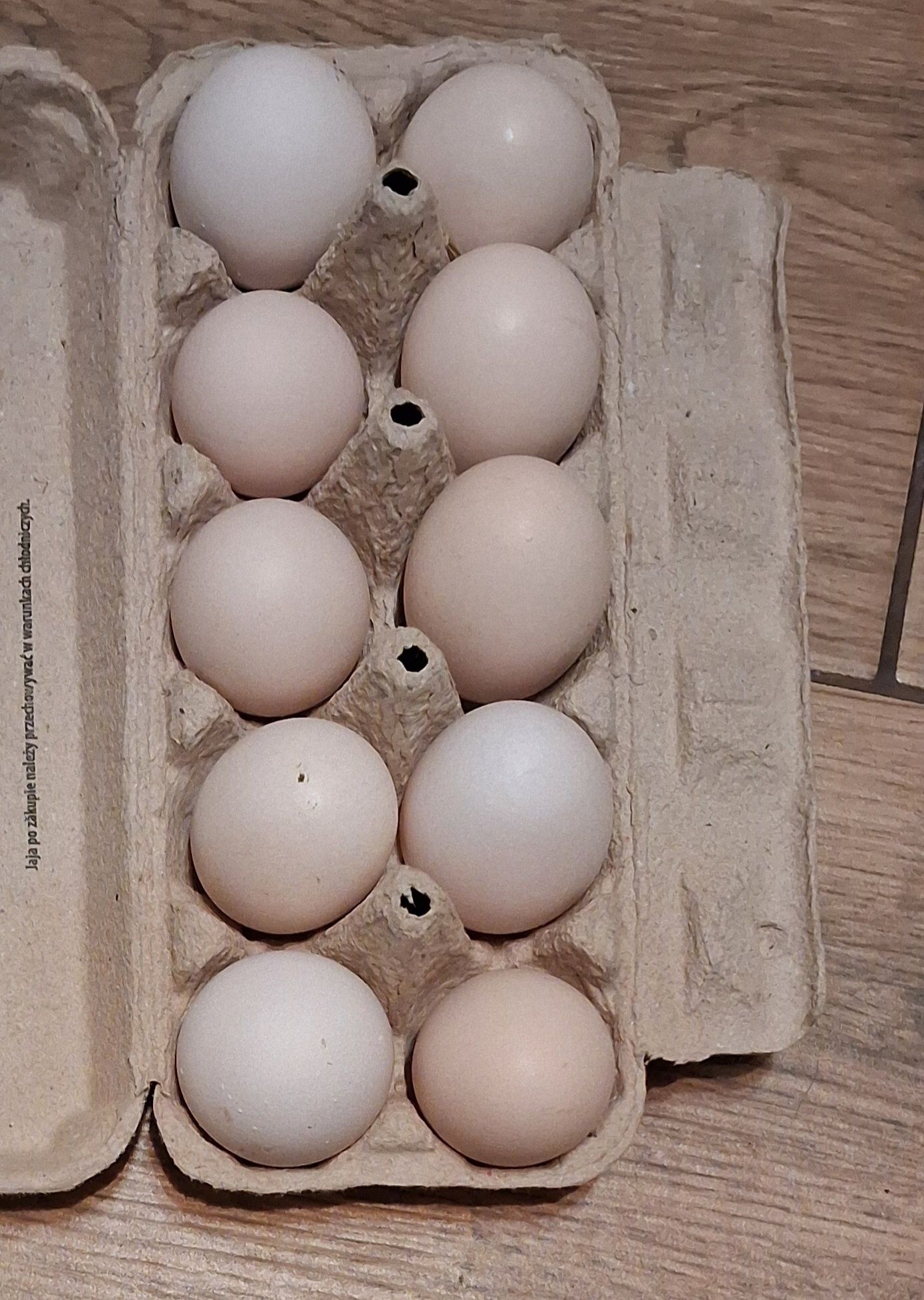 Jaja jajka lęgowe zielononóżki kuropatwianej
