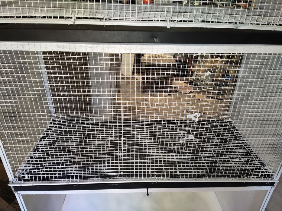 Viveiro tipo armário