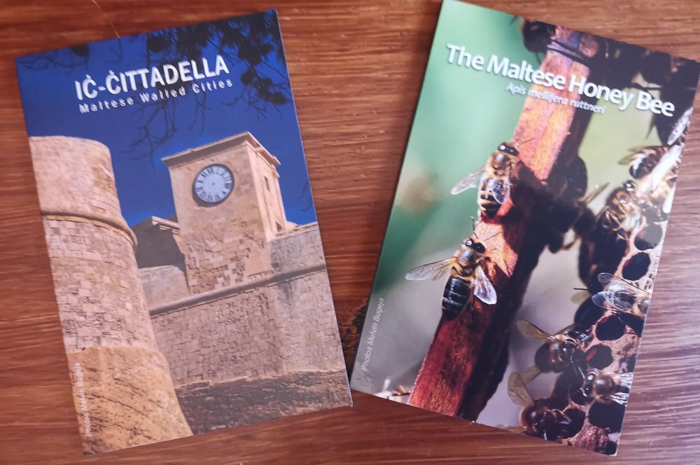 Conjunto moedas comemorativas de Malta 2024