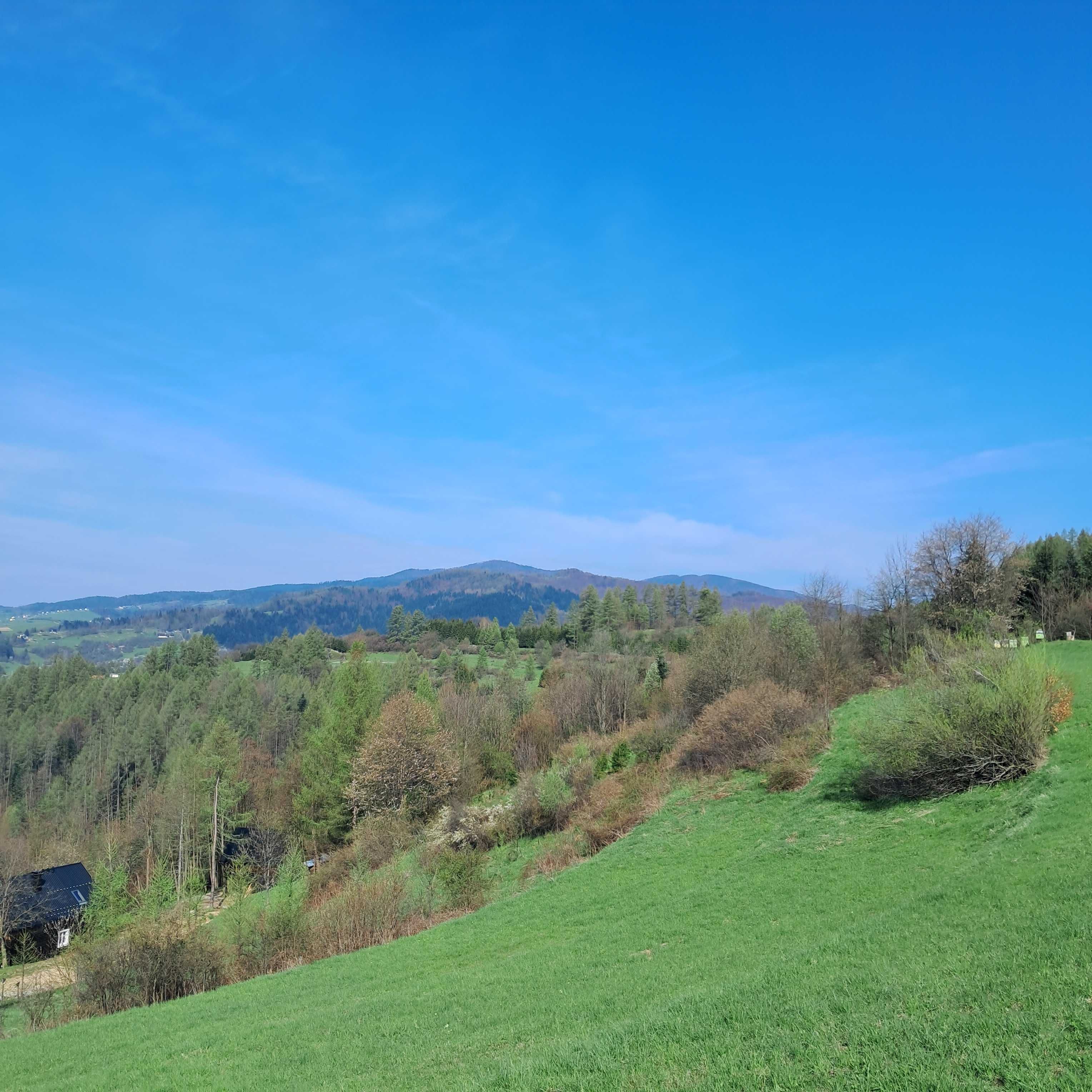 Działka w Krościenku nad Dunajcem /Szczawnica