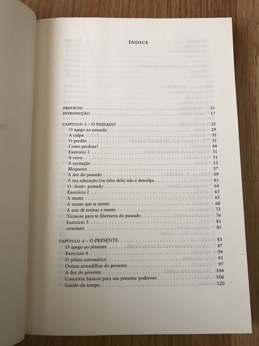 Livro Agarra o Agora