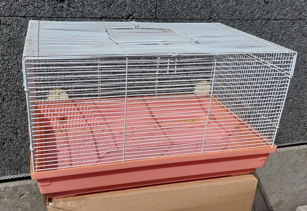 Klatka dla chomika szczura