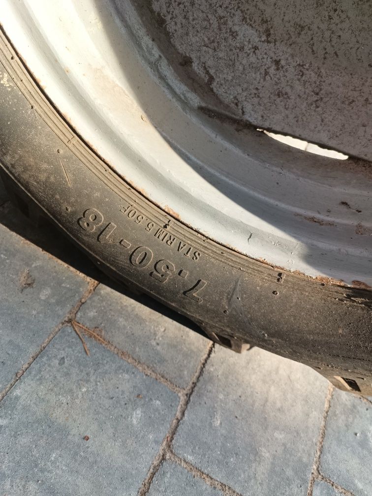 Traktorek jednoosiowy Holder dzik