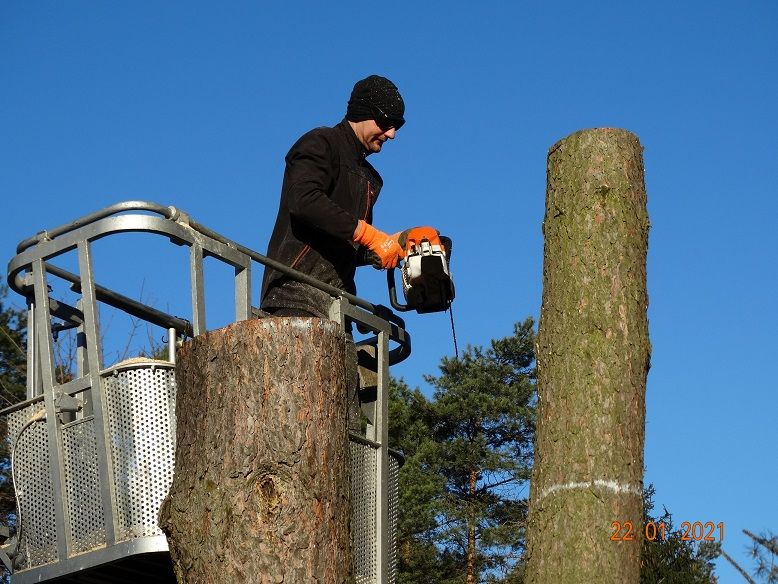 Wycinka drzew , usługi rębakiem,  podnośnik koszowy, frezowanie pni,