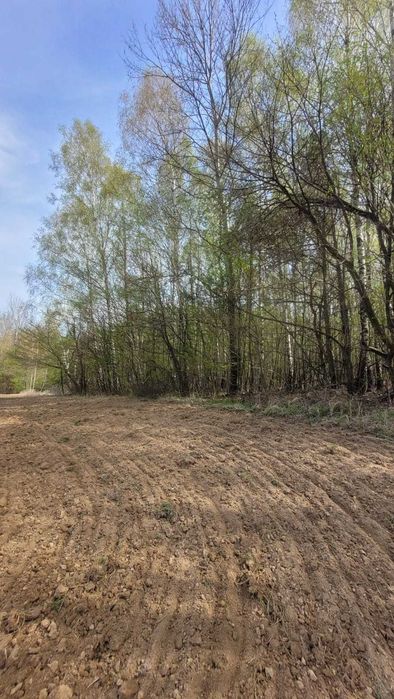 Działka leśna 61 arów