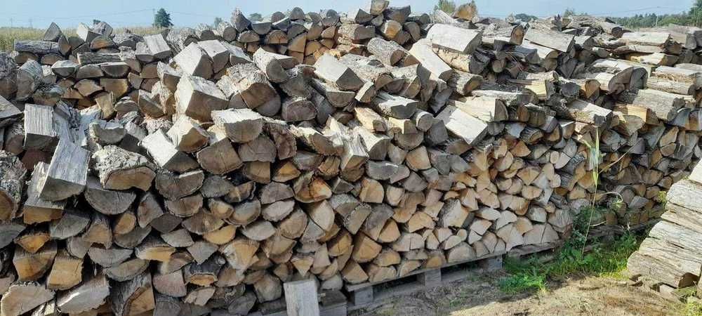 Drewno kominkowe Buk