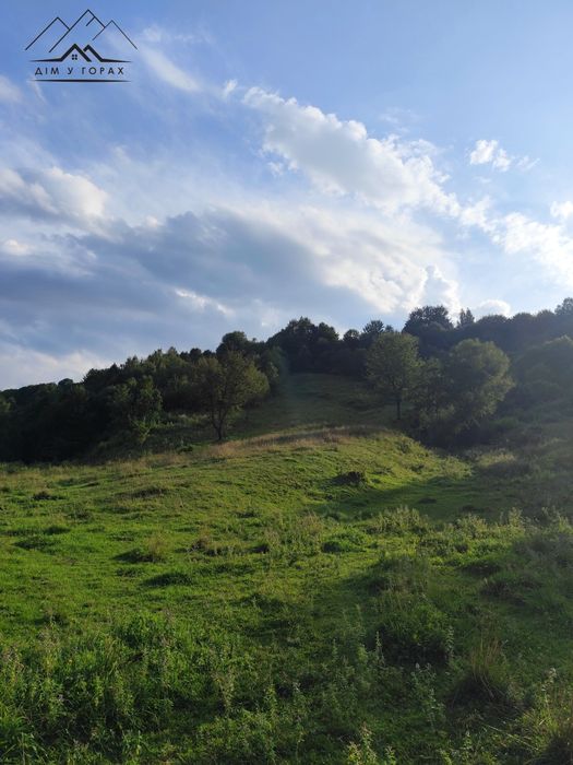 Продаж земельної ділянки 1.6 га. з гарним краєвидом у с. Шешори