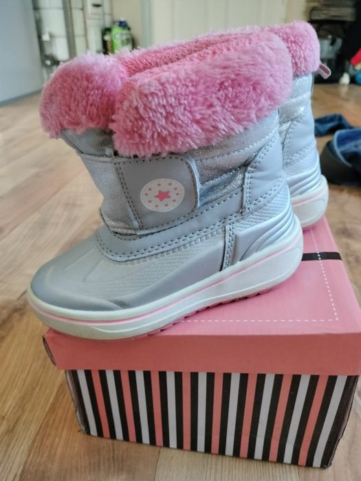 Śniegowce lupilu rozm.24