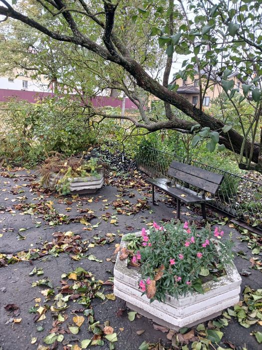 Продам будинок в Самгородке, 4 кімнати