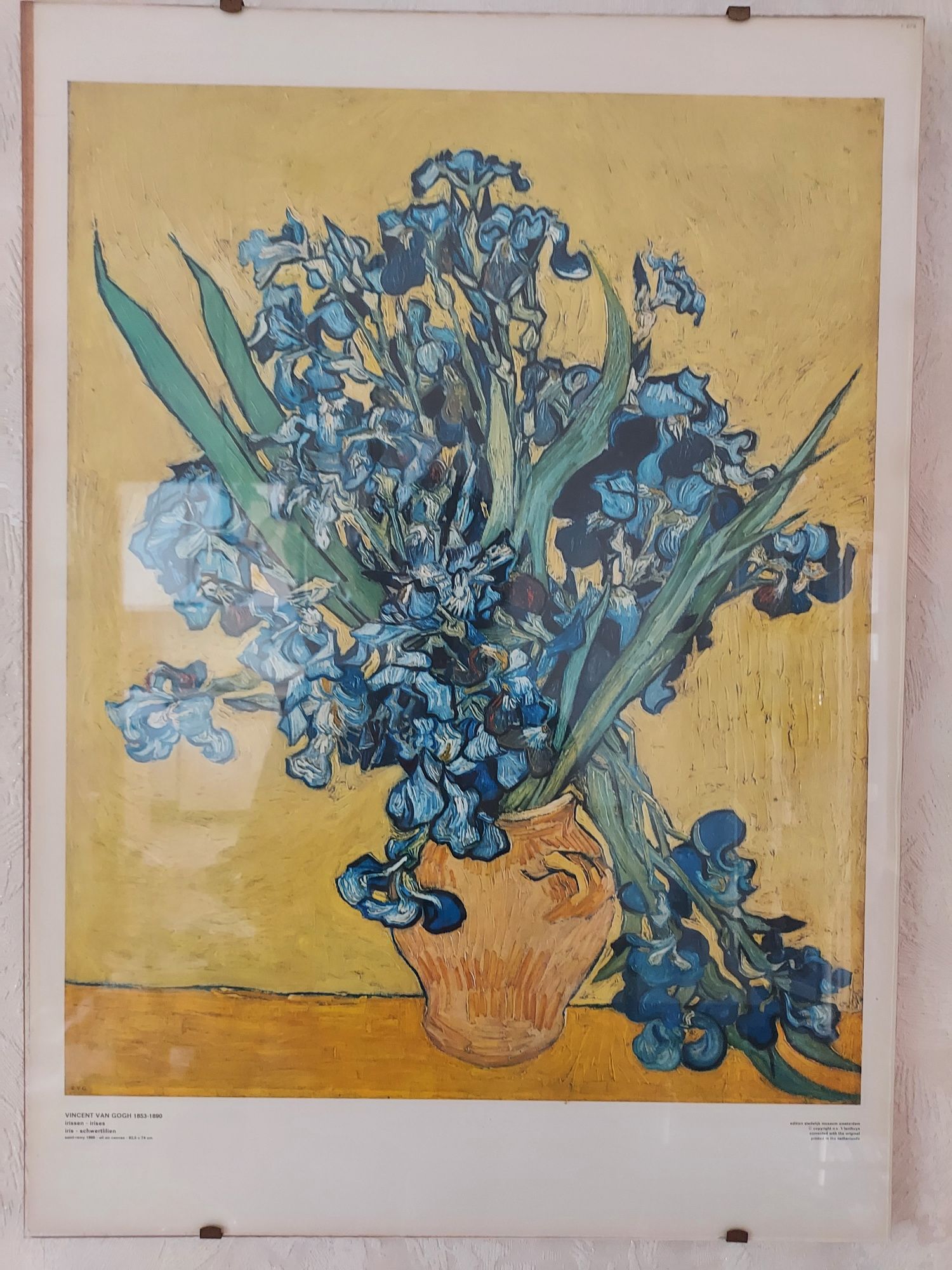 Obraz Vincent Van Gogh Irysy, reprodukcja druk muzeum holenderskie