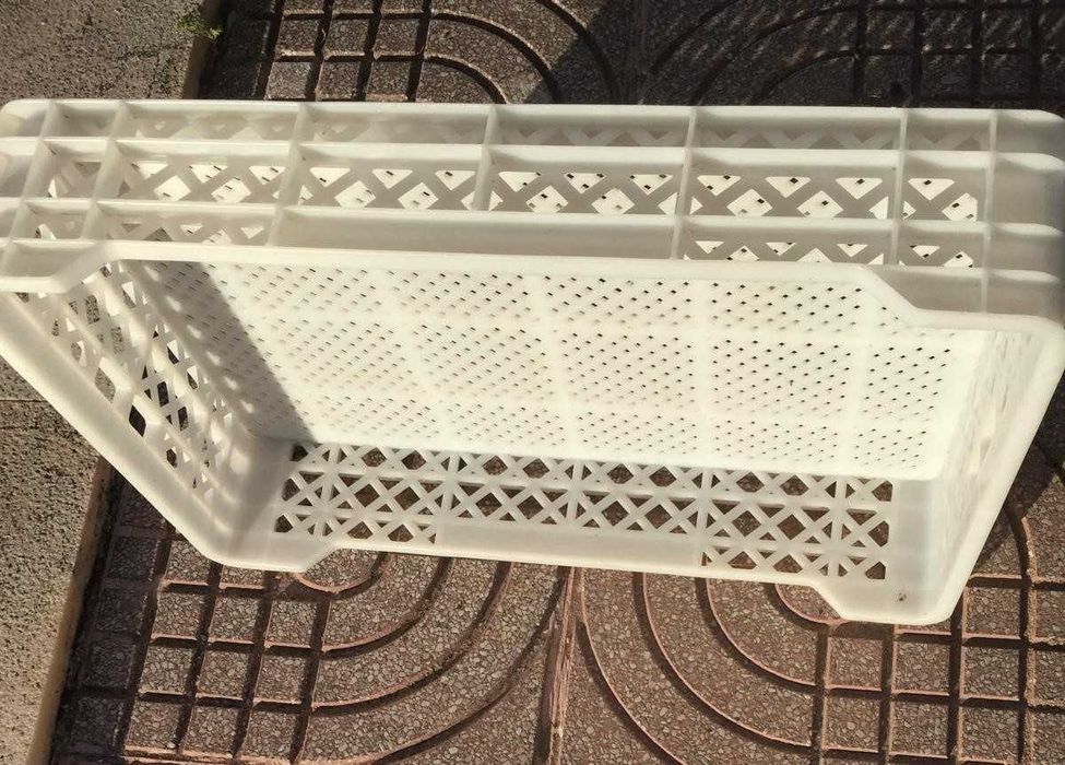 Tabuleiros Plástico (bolos, pão, queijo)