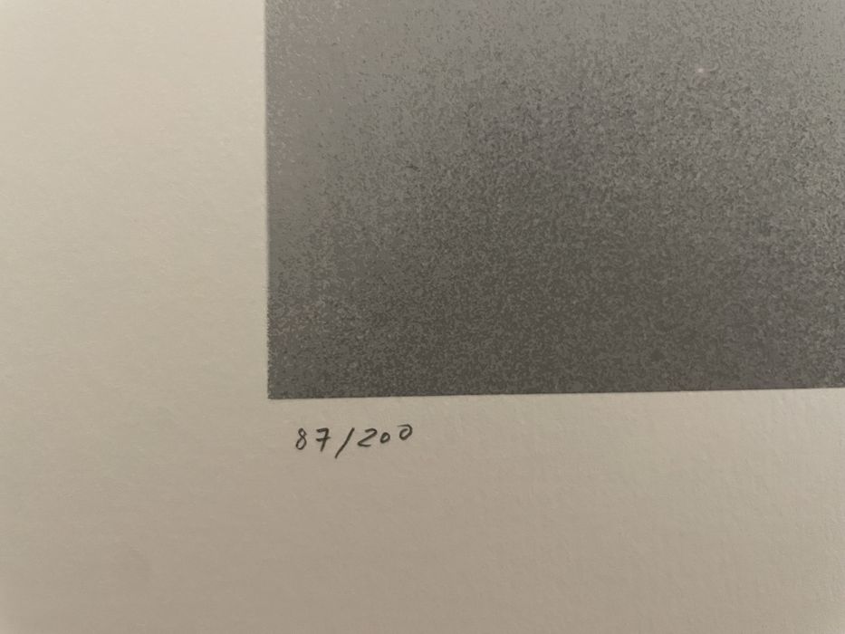 Serigrafia Helena Almeida Assinada