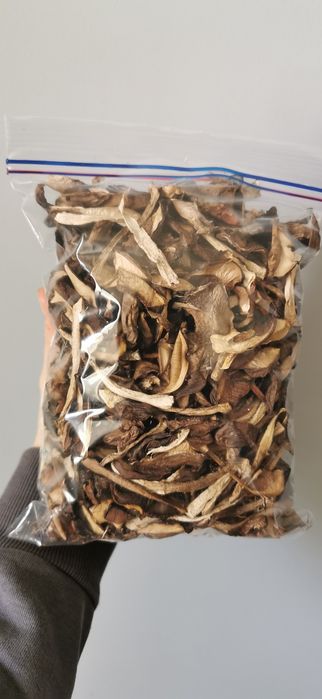 Grzyby Suszone grzyby