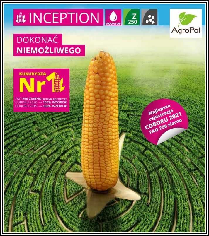 Kukurydza INCEPTION - Dokonać Niemożliwego Rekordowy Plon Nasiona IGP