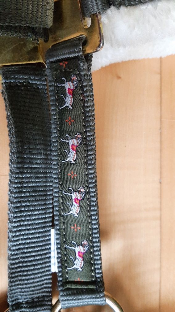 Kantar HKM Allure pony