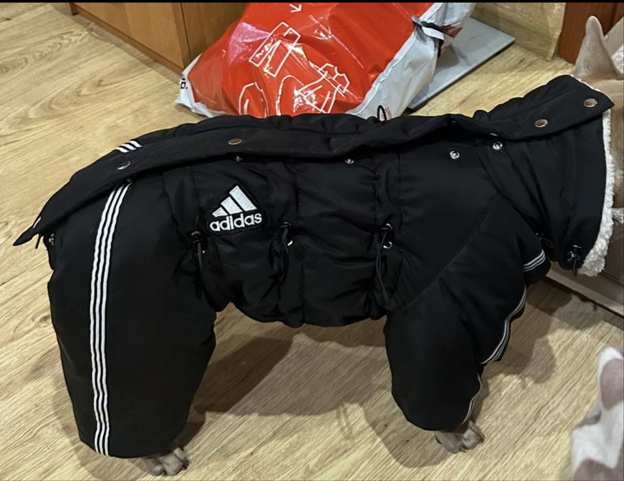 Продам зимний пуховик на собачку