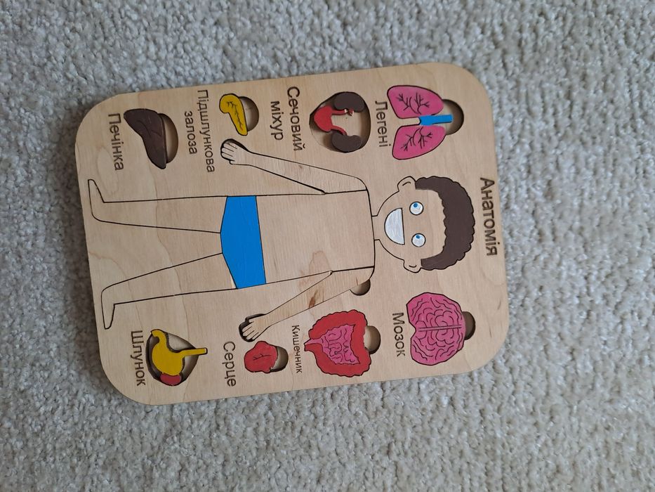 Дерев'яний пазл Анатомія людини