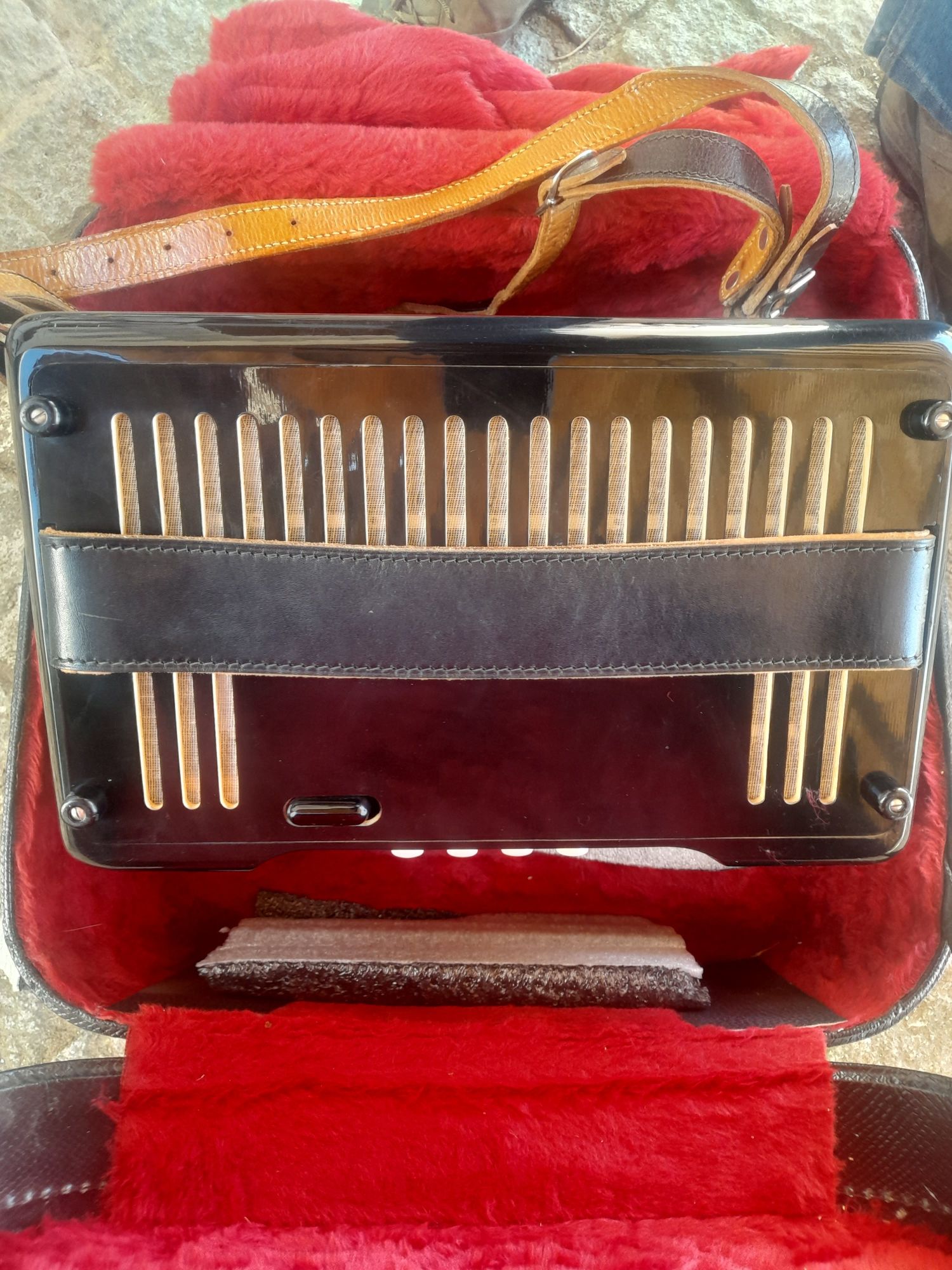 Concertina Hohner