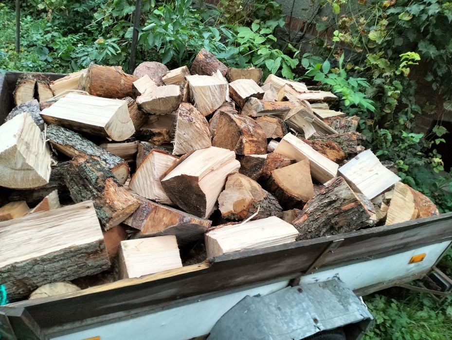 Drzewo opałowe suche