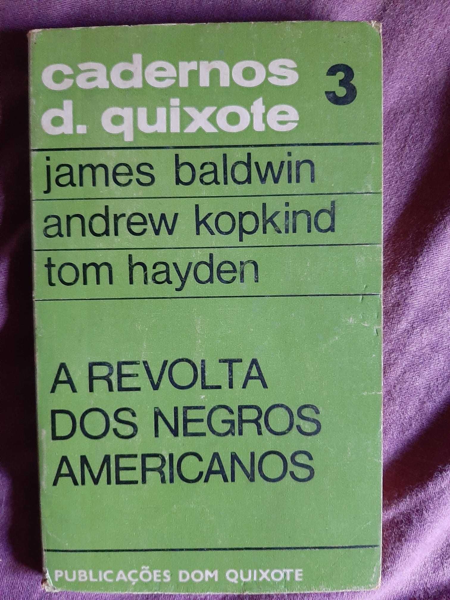 A revolta dos negros americanos/Negritude, independência e revolução