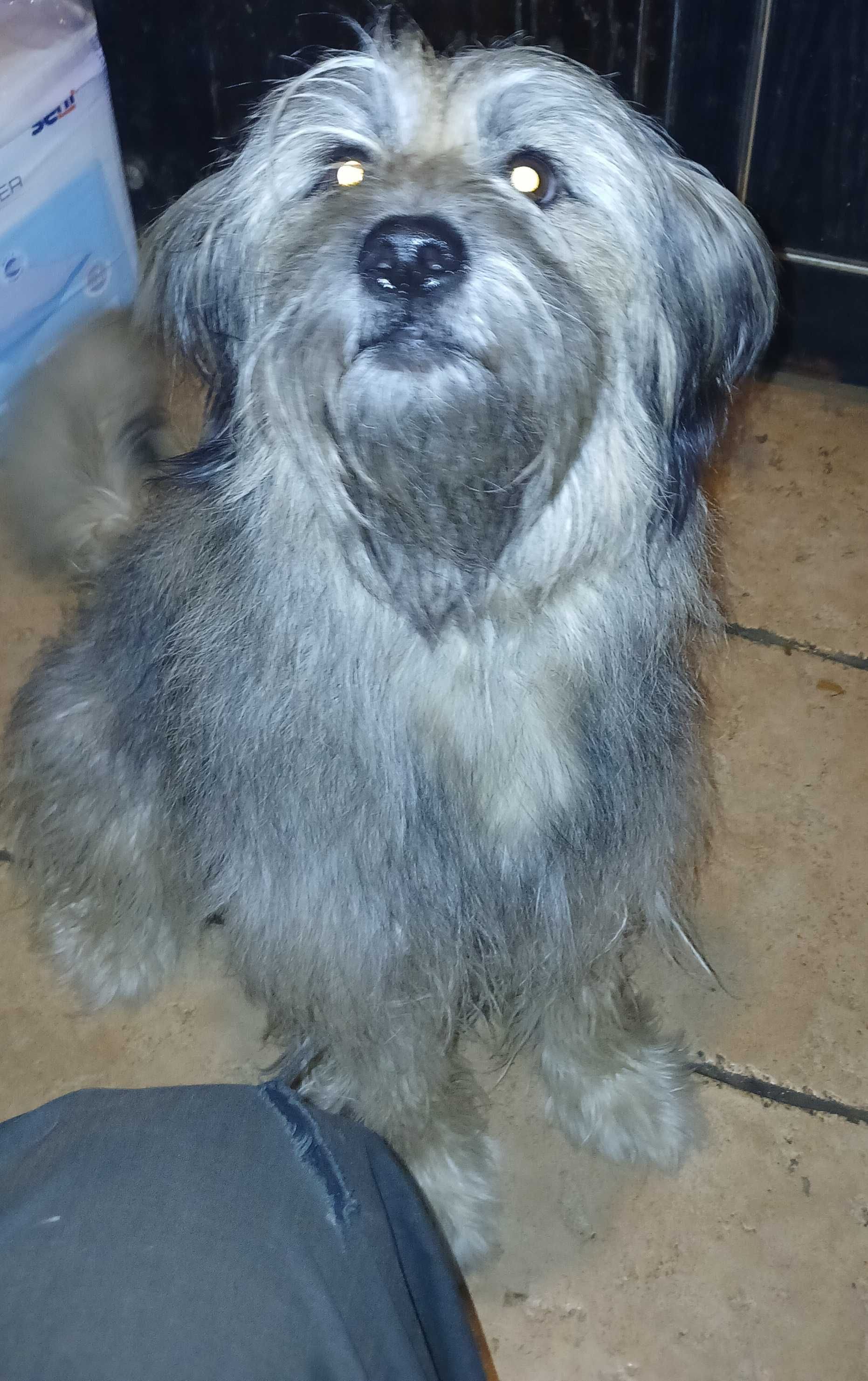Oddam w dobre ręce