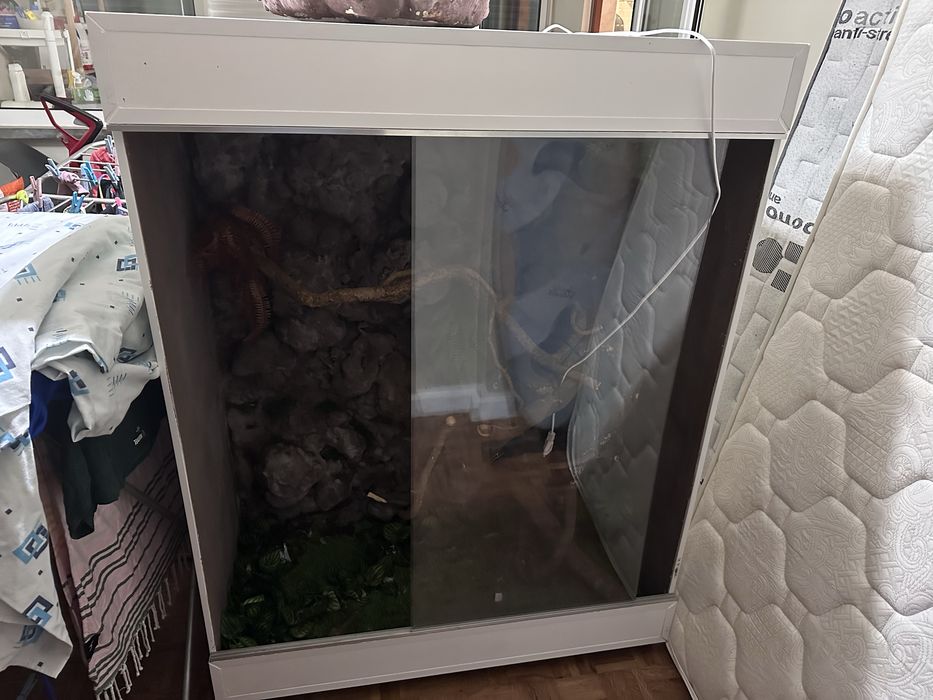 Terrrario para lagarto