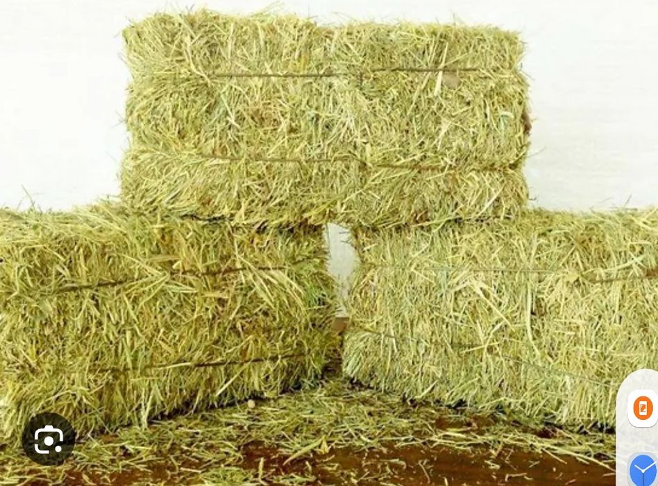 Сіно лугове тюковане