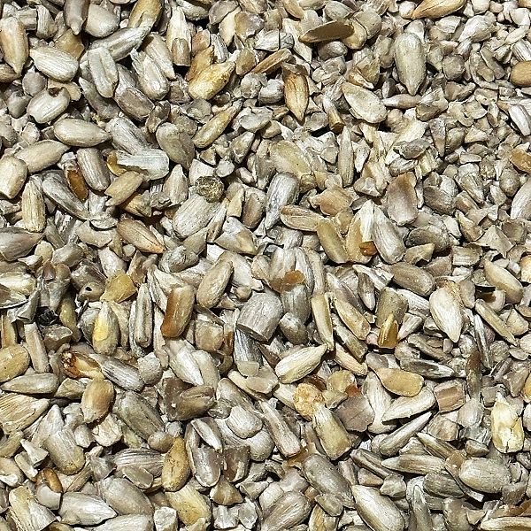 5kg Słonecznik łuskany 99% Karma zimowa dla ptaków Champi
