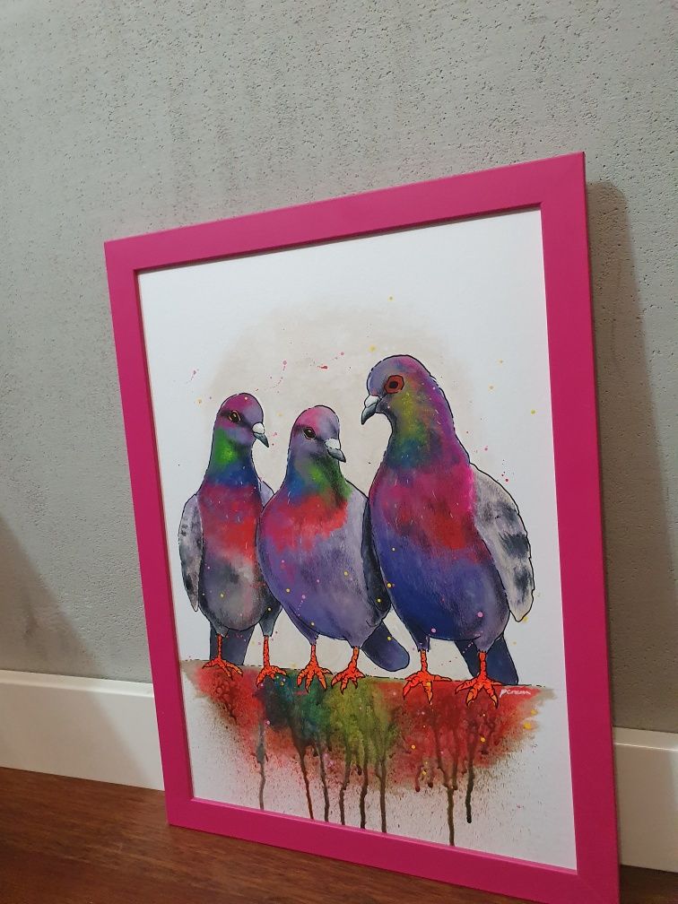 Obraz plakat a3 gołębie ptaki w ramie