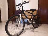 Bicicleta DTB  7.0