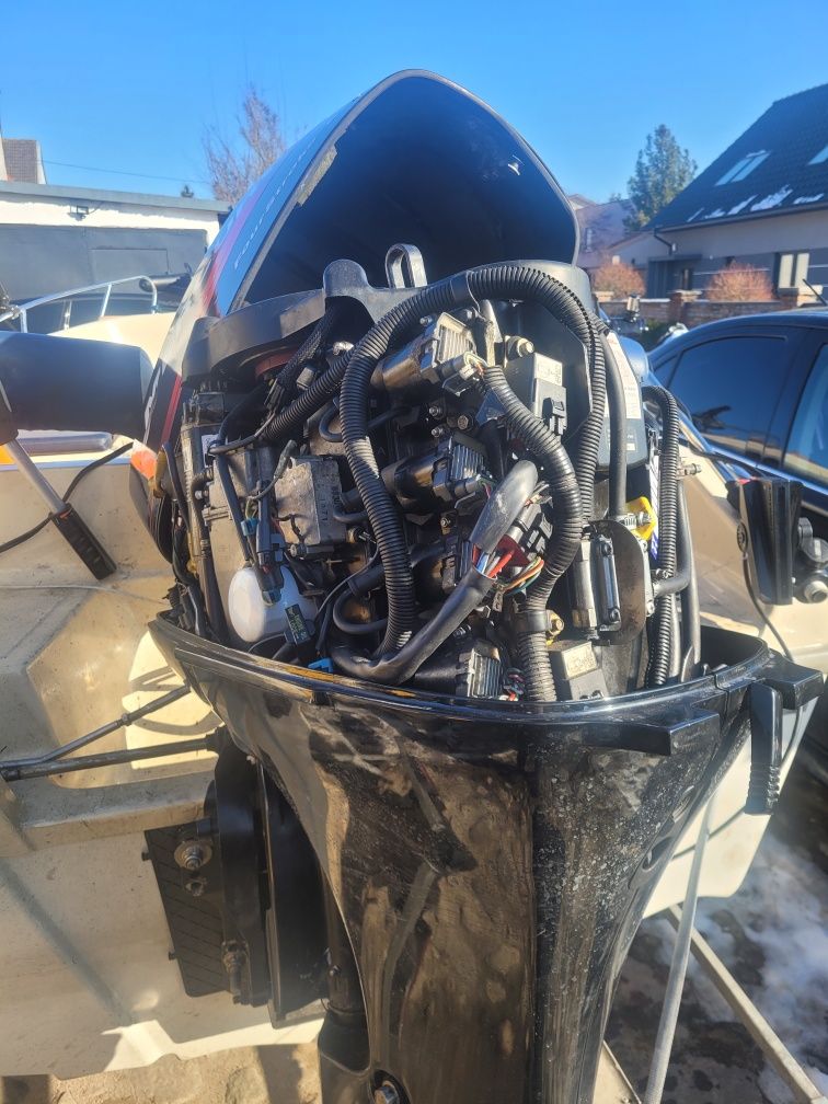 Mercury 50hp  efi 2002r