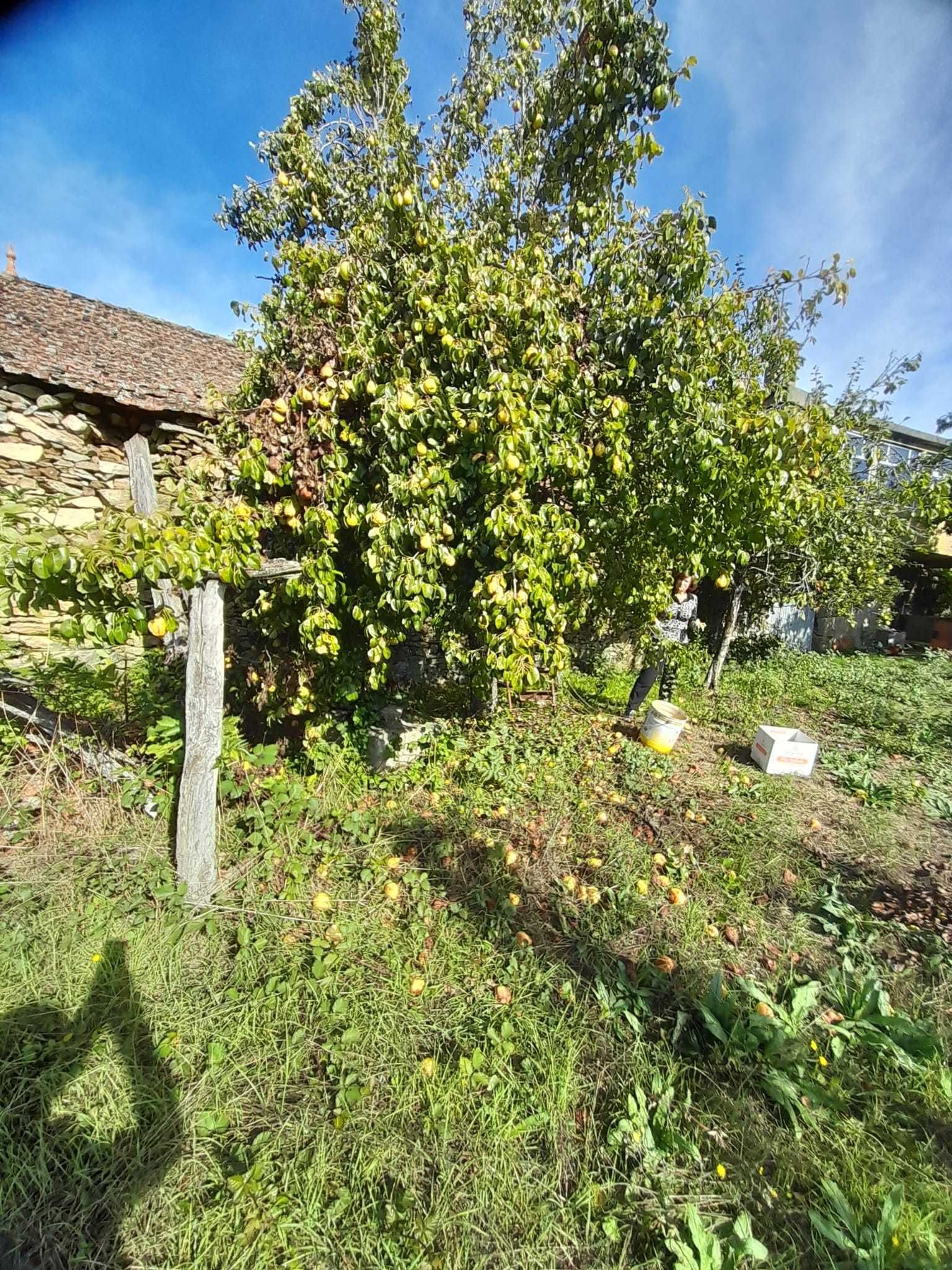 Casa em S. Vicente da Raia (concelho de Chaves)