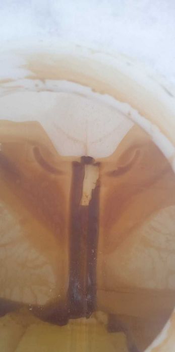 Куб, єврокуб, бочка 1000л без обрешітки