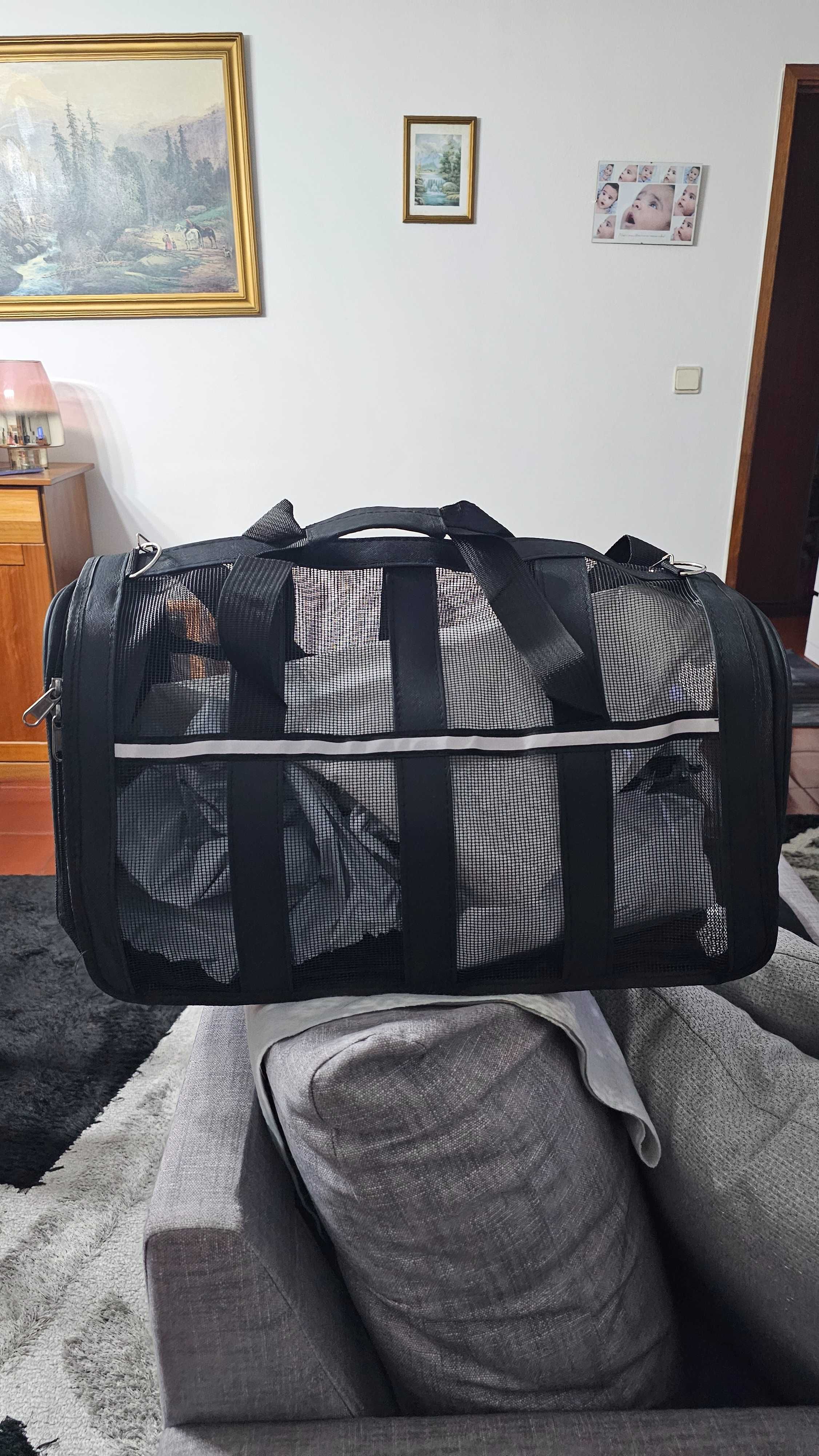 Transportadora Animais