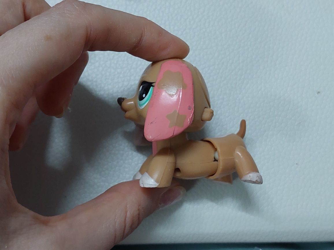 Littlest pet shop lps пет шоп петшопы стоячка стрекоза собака