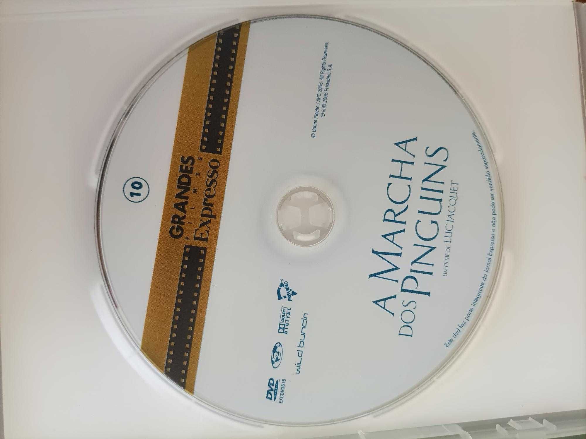 DVD Marcha dos pinguins