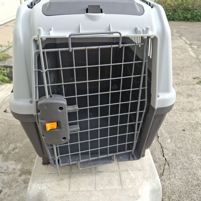 Transportadora - aprovada avião