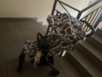 Коляска elodie details