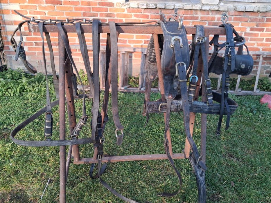 Uprząż konna szory