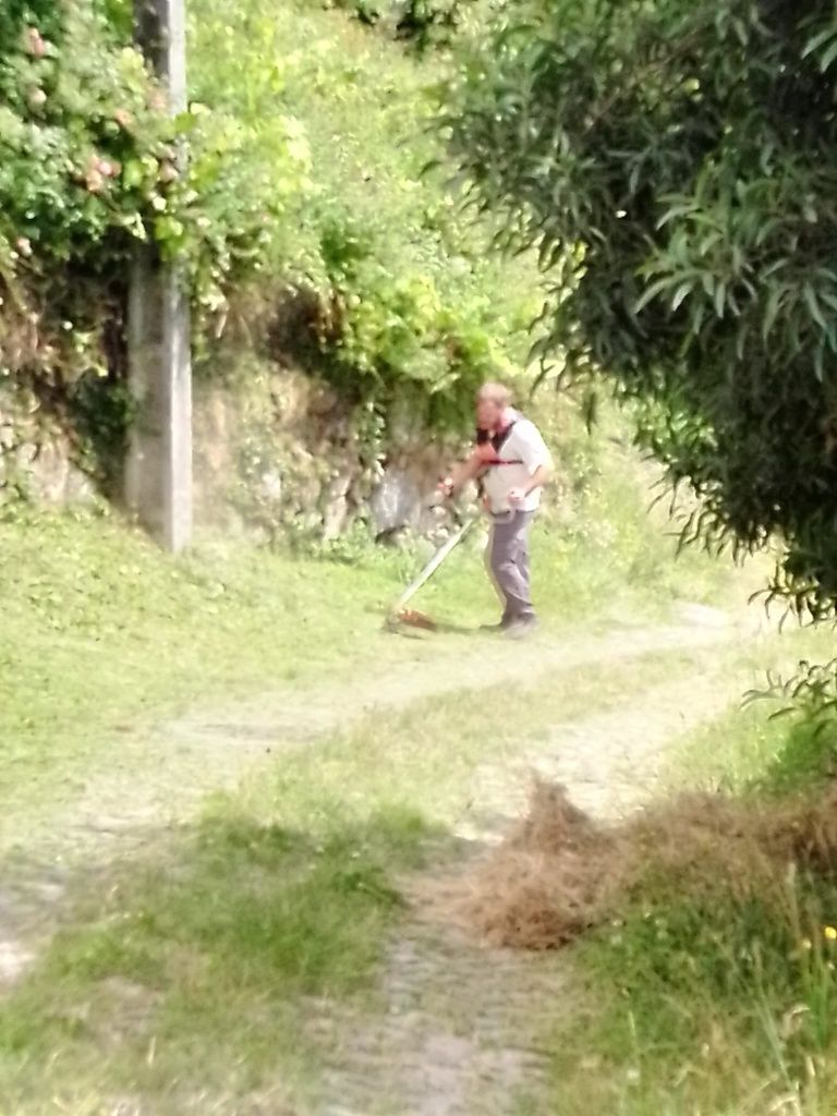 Trabalhos de jardinagem